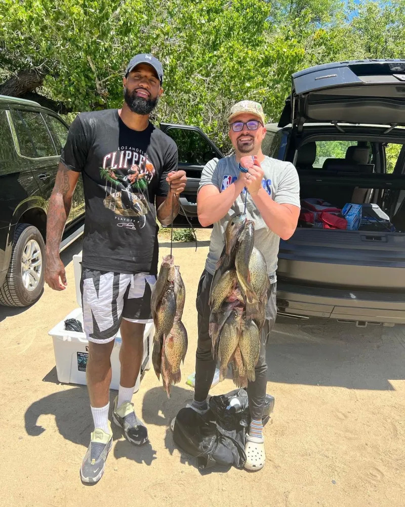 展开叙述 展开叙述